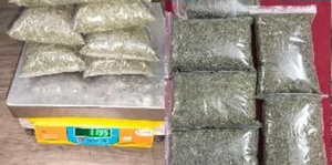 Ventes en gros de feuilles de citronnelle sèches (taille coupée pour le thé) avec des feuilles de citronnelle sèches de qualité supérieure, naturelles et en vrac, à vendre - Product Image 4