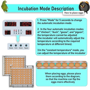 Hộ gia đình tự động kiểm soát nhiệt độ đa chức năng duy nhất điện gia cầm mini nở brooder hộp 16/36/120 trứng - Product Image 4
