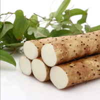 Compléments Nutritionnels pour la Santé et le Bien-être, Soutien Immunitaire, Extrait de Yam Chinois 10:1 en Poudre pour Adultes - Emballage Personnalisable