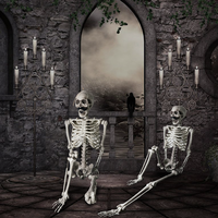 Offre Spéciale : Squelette Humain Debout de 165 cm pour Halloween – Décoration de Festival et Accessoires pour Maison Hantée, Idéal pour Fêtes d'Halloween