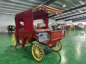 Cina carretti cavalli elettrici carrozza cavalli reali carrozza auto turistica - Product Image 5