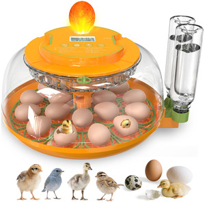Incubateur d'œufs 2026 en promotion : contrôle précis de la température, contrôle intelligent de l'humidité, retournement automatique des œufs, taux d'éclosion élevé - Product Image 1