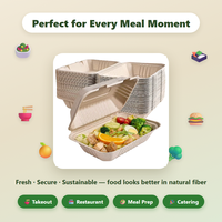 Boîte alimentaire à clapet en bagasse compostable à 3 compartiments, écologique, en canne à sucre, pour plats à emporter, avec couvercle articulé pour restaurant