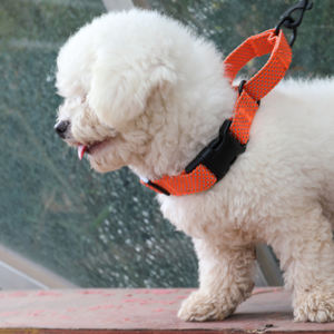 Venta caliente 1 ''Collar de perro reflectante de nailon naranja de alta calidad y correa con patrón impreso y cintas decorativas - Product Image 4
