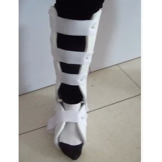 กระดูกหน้าแข้งและกระดูกน่องส่วนบนของข้อเท้าขวาในผู้ใหญ่