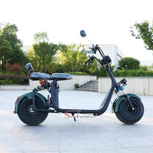 Yeni moda EEC fat tire 1800w mevcut 1500w 60V motosiklet elektrikli scooter 2500 watt