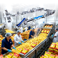 Ligne de Production Industrielle et Commerciale Entièrement Automatique sur Mesure pour Chips de Pommes de Terre Frites et Frites Surgelées