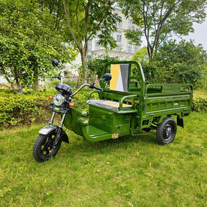 Tuk-tuk électrique, vélo électrique à 3 <span class=keywords><strong>roues</strong></span>, tricycle passager, <span class=keywords><strong>moto</strong></span> cargo pour adultes, pour la ferme - Product Image 3