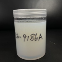 Résine d'apprêt acrylique pure pour une adhérence forte et un renforcement du substrat, base idéale pour les revêtements muraux