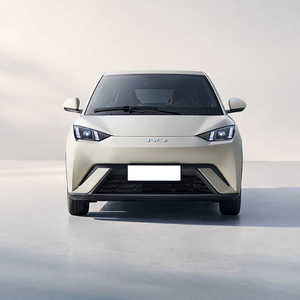 Fabriek Directe Verkoop Byd Zeemeeuw <span class=keywords><strong>Mini</strong></span> Ev Auto Intelligente Rij-Editie Vitaliteit Editie 4-zitplaatsen Met Groothandelsprijs - Product Image 4