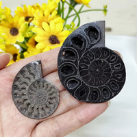 Vente en gros de pierres fossiles d'ammonites noires à coquille brute unique pour la décoration intérieure de bureaux de luxe