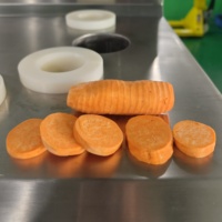 Dq Guangzhou Daqiao Industriële Commerciële Zoete Aardappel & Vers Fruit Snijmachine Motor Kern Componenten Productielijn