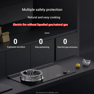 2025 di recente alta tecnologia all'ingrosso cucina 5000W utensili da cucina con fiamma casa elettrica stufa completamente elettrica