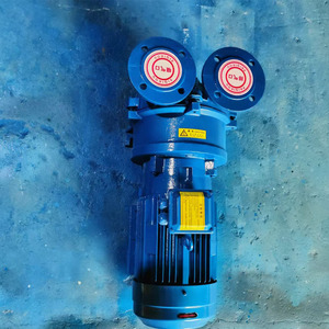 2BV Water Ring <b>Vacuum</b> <b>Pump</b> 380V Industrial <b>Pump</b> Head For Water Treatment Machinery - Product Image 2