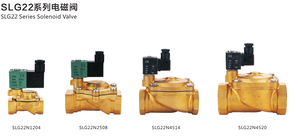 SLG22N1203-DC24V Marca NPPC Valvola Idraulica 2/2 Vie Tipo Pilota ad Aria Elettrovalvola con Corpo in Ottone per Gas o Olio Pneumatico - Product Image 5