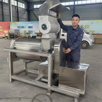 Grote commerciële roestvrijstalen sapcentrifuge voor het maken van verse aardbeien-, passievrucht- en ananassap