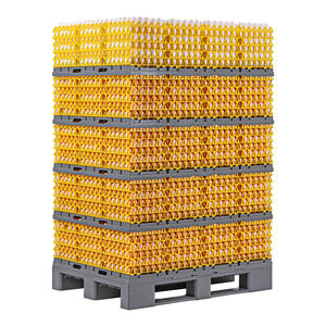 Sistema de Transporte de Huevos, Bandeja para Huevos, Sistema de Paletización para el Transporte de Huevos <span class=keywords><strong>Giordano</strong></span> - Product Image 2