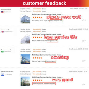 Estufa De Vidro Automática Morango Picking Garden Estufa Do Painel Solar - Product Image 3