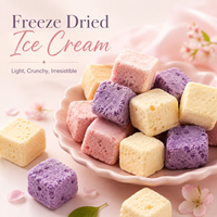 Yaourt lyophilisé Crème glacée Snacks sains OEM Yaourt Baies bleues Fraise mangue Saveurs Crème glacée lyophilisée