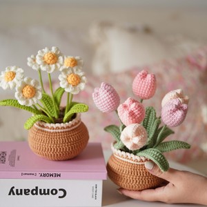 Kit de crochet de bricolage pour débutants Kit de <span class=keywords><strong>pot</strong></span> de fleurs pour plantes au crochet avec tutoriels détaillés Kit de crochet pour débutants complets - Product Image 5