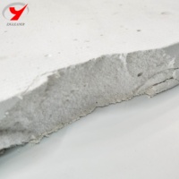 Panneau moderne en mousse de MgO à haute densité Noyau de porte ignifuge Cloison intérieure/extérieure pour hôtel/appartement Utilisation carrée MGSO4