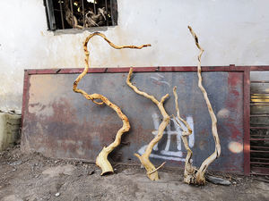 <span class=keywords><strong>Aquarium</strong></span> décoratif en bois de manga, ouvert avec bois naturel, de chine - Product Image 6