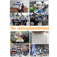 Cinta transportadora industrial bandas transportadoras cinta transportadora Focus Machinery 2024 nuevo producto