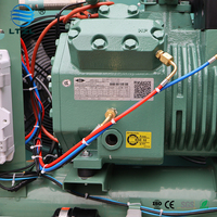 Unité de condensation 4HP avec compresseur 4EES-4 ; Idéale pour la congélation à basse température des fruits de mer et de la viande