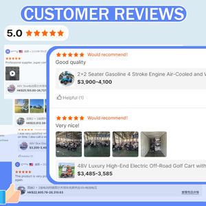 Nieuwe Club Auto 4-Wheel Elektrische Golf <span class=keywords><strong>Buggy</strong></span> Met 48V Lithium Batterij Eec/Dot/Gcc Gecertificeerd Voor De Jacht - Product Image 6