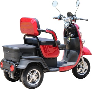 Motocicleta Eléctrica de Carrocería Abierta para Personas con Discapacidad, con Capacidad para 2 Pasajeros - Product Image 1