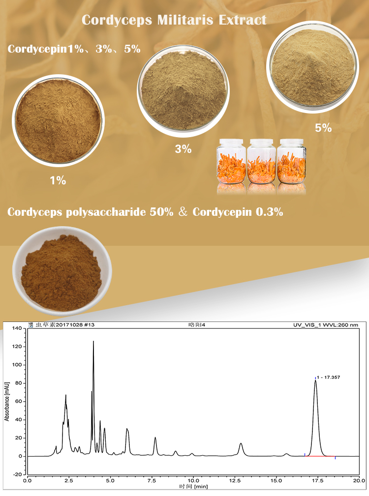 Pincredit Supply Pure Bulk Price Cordyceps Militaris Extract Powder 1%- 98% Cordycepin
