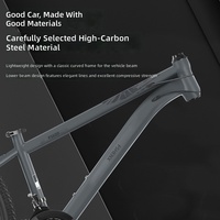 Vélo de montagne pour adultes, 27 vitesses, freins à disque, suspension avant, changement de vitesse, roues de 24 pouces, cadre en acier à haute teneur en carbone, jantes en alliage d'aluminium