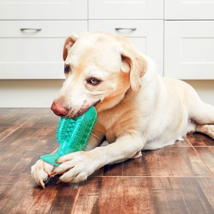 Juguetes Masticables de Goma Natural Duraderos para Perros, Cuidado Bucal, Palo de Cepillo de Dientes, Juguete para Perros al por Mayor - Product Image 4