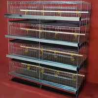GREAT FARM Cage à cailles de type H pour poulets Cages à volailles automatiques fournies pour poulets pondeuses 3 couches 5 portes 3 ans Fermes de cailles