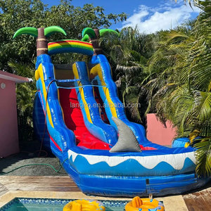 Toboggan aquatique géant gonflable en forme de <span class=keywords><strong>dauphin</strong></span> pour <span class=keywords><strong>parc</strong></span> aquatique commercial - Product Image 2