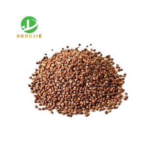 خلاصة نباتية: مسحوق بذور الفجل (rravanus Sativus L) خلاصة نباتية للاستخدام المحايد - Product Image 3