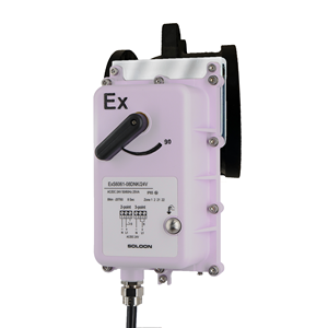 Vanne de système CVC S6064-2065 : Actionneur antidéflagrant ExS6061 avec vanne à boisseau sphérique en fonte 2 voies DN65 (2,5 po), raccord à bride - Product Image 3