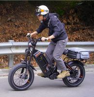 Vélo électrique Eahora Romeo Juliet 2 Cargo 1700w, vente directe d'usine, fabriqué en Chine, vélo électrique de rangement, vélo électrique de ville pour adultes