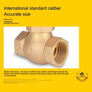 Fabrika özelleştirilmiş yüksek sıcaklığa dayanıklı pirinç AC220V DN15 su buharı <span class=keywords><strong>pilot</strong></span> solenoid vana için geçiş buhar - Product Image 4