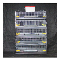 Cages à cailles pour la production d'œufs, directement de l'usine, 300-500 cages