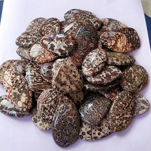 Pierres précieuses en jaspe léopard de haute qualité, formes variées, pour la fabrication de bijoux, prix de gros - Product Image 1