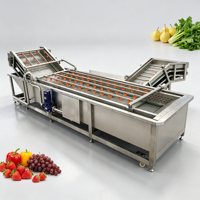 Machine de lavage automatique commerciale à bulles d'air et ozone pour graines de patate douce, gingembre, laitue, fruits et légumes