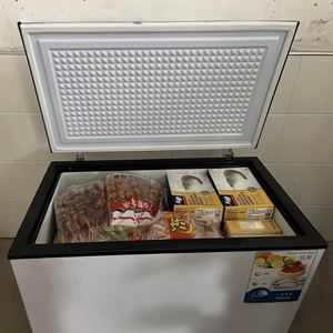 Congélateur coffre électrique à porte unique H 302L, grande capacité, ouverture par le haut, horizontal, pour usage domestique et commercial - Product Image 3