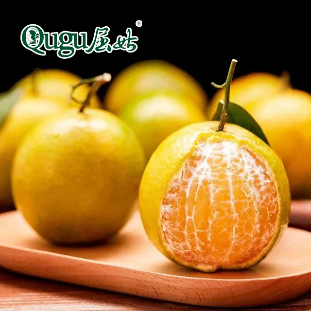 New crop mandarin orange plant in China