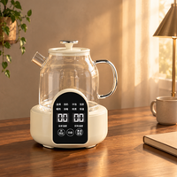 Bouilloires Électriques à Ébullition Rapide, Chauffe-Eau Commercial pour Hôtels, Carafe Chauffante pour Soupe, Petite Bouilloire Électrique Numérique en Verre pour la Maison et le Bureau