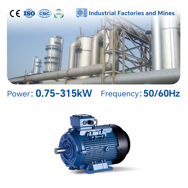 Purity Cast Aluminum Housing IE2 Efficiency YE3 Model Inductor Three Phase 220V 30-315KW AC Industrial Electric Motor Price