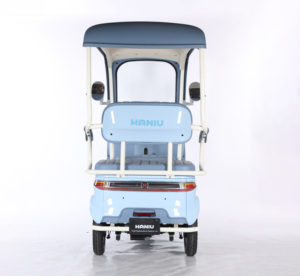 2025 nouveau 3 roues 1000W Scooter électrique corps ouvert 48V loisirs Tricycle Mini <span class=keywords><strong>moto</strong></span> électrique Ha Niu No.7 - Product Image 6