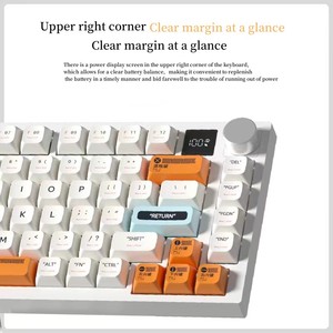 New Arrival Professional 81 Key LED Backlit Mechanical Gaming Keyboard USB Wired 75 Percent Wireless Charger Desktop USB Type-c