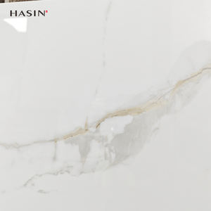 بلاط بورسلين للأرضية 60 × 60 بورسلين سيراميك كارلو سول ، بلاط أرضية إسبانية بورسلين صيني - Product Image 3