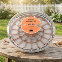 Nouvel incubateur électrique PP de petite taille pour usage agricole, avec taux d'éclosion de 98 %, retournement automatique des œufs, capacité de 30 œufs